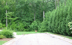 subdivision_stub_out