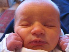 newborn