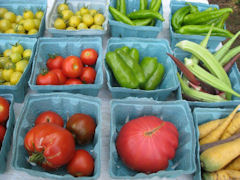 tricycle_gardens