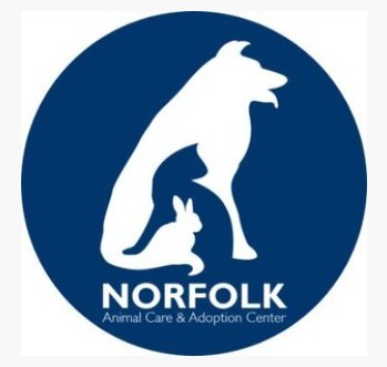 City of Norfolk Allowed Its Animal Shelter Manager to Work Remotely. From  Florida. | Bacon's Rebellion