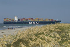 MSC_Bruxelles
