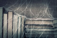 cobweb_books
