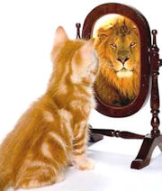 self_esteem