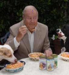 dog_food