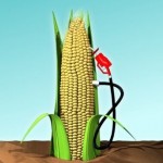 ethanol-corn