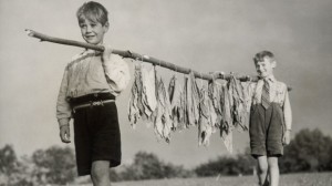tobacco child labor