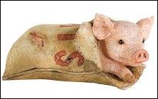 pig_in_poke