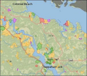 This map, taken from the Virginia Department of Conservation and Recreation website, shows the fragmented distribution of conservation easements on Virginia's upper peninsula.