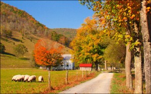country_road