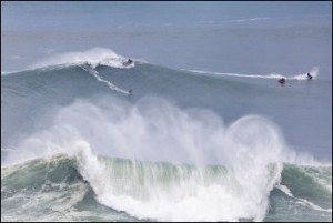 You can either ride the wave...