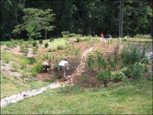 Virginia Tech bioretention project