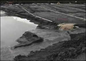 Coal ash pond at Bremo Power Station. Photo credit: CBS 19