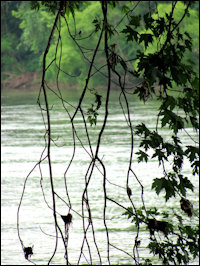 The James River at Bremo Bluff