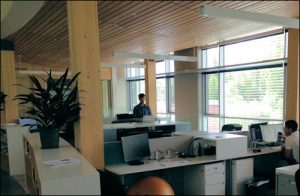Most office lighting comes from outside, although RMI does use LED lights as backup.