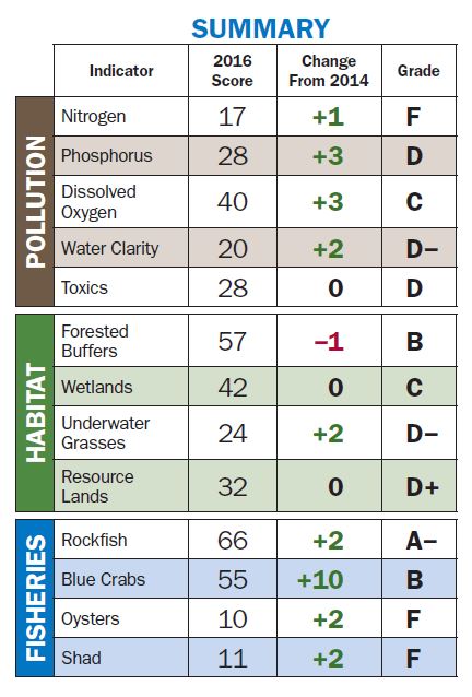 The health of the Chesapeake Bay has improved in nine of 13 metrics.