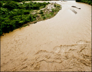 Muddy water -- still waiting for an impartial analysis of the rate freeze issue.