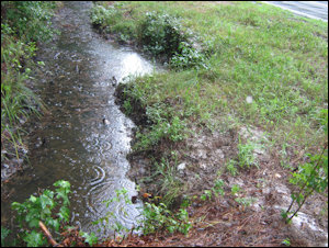HB 1774 would give credits for projects using water from roadside drainage ditch like this one in Mathews County.
