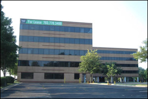 Aging, outdated, not within walking distance of anything.... 75% of Fairfax County's commercial/industrial real estate is obsolete.