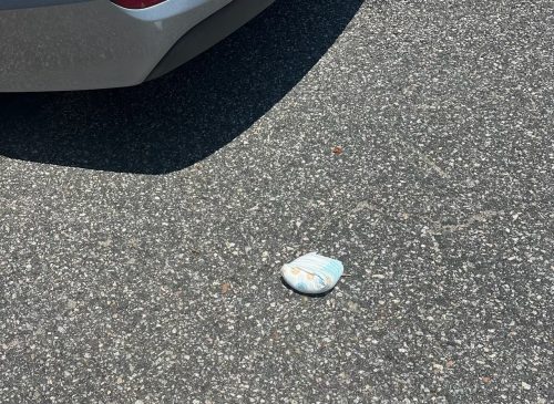 A discarded diaper on a residential street, next to a parked car on asphalt.