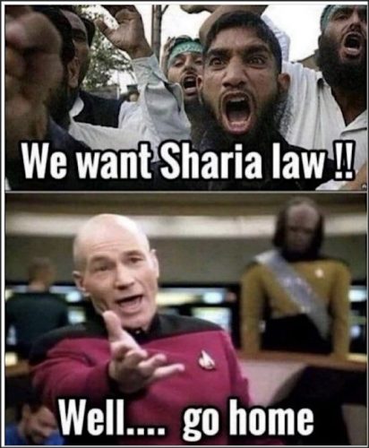 A split image featuring a group of protestors demanding Sharia law at the top, and a well-known fictional character from a science fiction series responding with a dismissive gesture at the bottom.