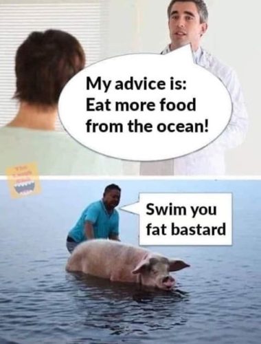A humorous image featuring a doctor giving dietary advice to a person, while a man is seen in water with a pig, humorously telling it to swim.