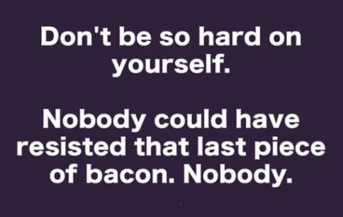 Text graphic with a purple background. The quote reads: 'Don't be so hard on yourself. Nobody could have resisted that last piece of bacon. Nobody.'