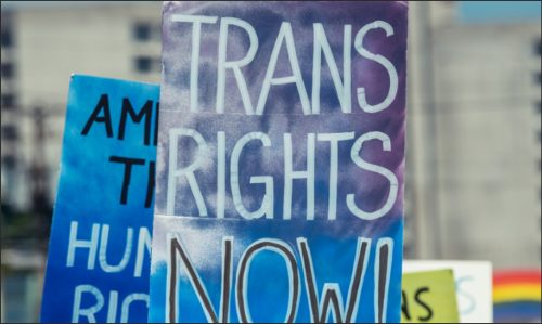A close-up of colorful protest signs focused on advocating for trans rights, with bold text stating 'TRANS RIGHTS NOW!' in prominent letters.