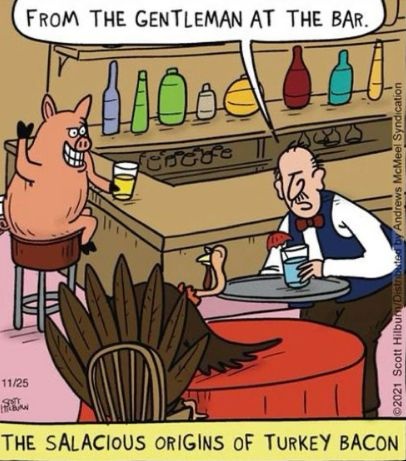 A cartoon depicting a pig at a bar who is sending a drink to a man at a table, while a turkey sits at the table, captioned 'The salacious origins of turkey bacon.'