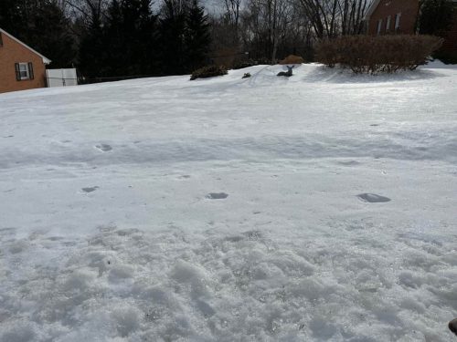 A snowy landscape with footprints leading across the surface, featuring a clear blue sky and a brick house in the background.