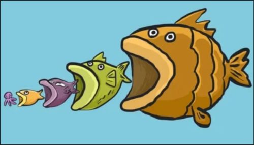 A humorous illustration of four cartoon fish of varying sizes, from small to large, with exaggerated open mouths, set against a blue background. A tiny octopus is also depicted beside the smallest fish.
