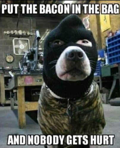 A dog wearing a ski mask in a workshop setting, accompanied by a humorous caption about bacon.