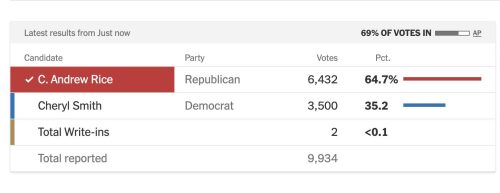 Election results table showing C. Andrew Rice (Republican) with 6,432 votes (64.7%) and Cheryl Smith (Democrat) with 3,500 votes (35.2%), along with total write-ins and total votes reported.