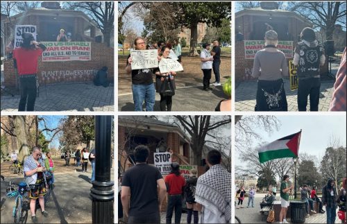 A group of protesters holding signs in a park advocating against the war on the planet and for Palestinian rights.